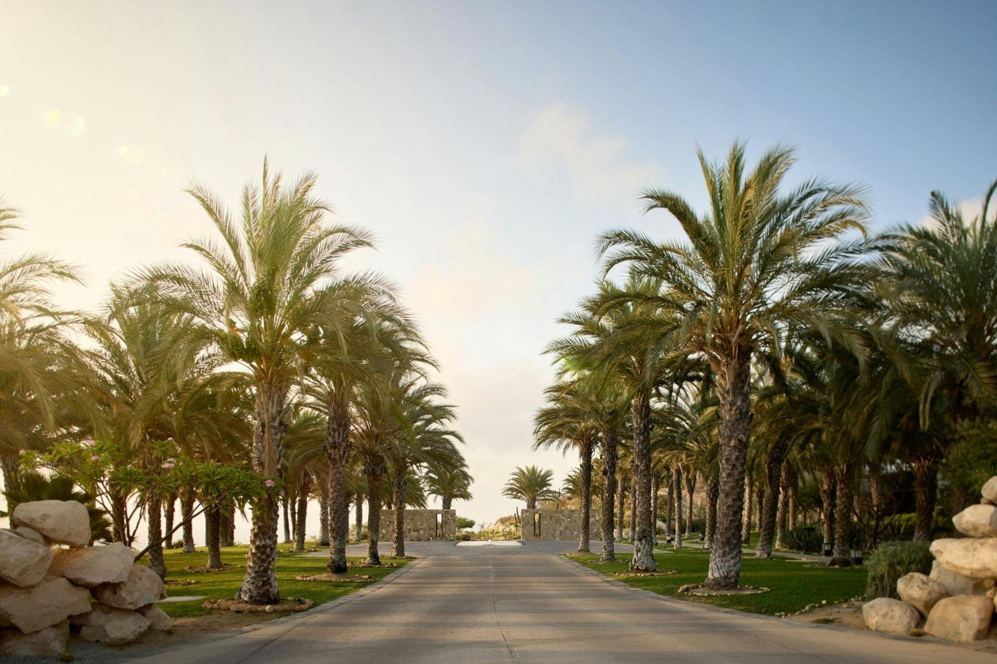 Zadun, A Ritz-Carlton Reserve San José del Cabo Esterno foto